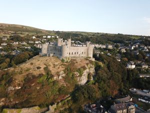 Royal St Davids Castle